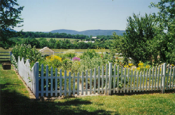 Trang trí hàng rào sắt đẹp cho sân vườn